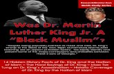 14 Hidden History Facts of Dr. King and the Nation The ...