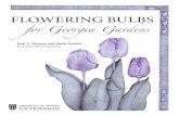 FLOWERING BULBS - CAS