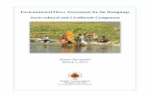Environmental Flows Assessment for the Ramganga Socio ...