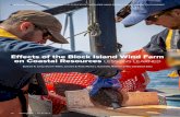 Effects of the Block Island Wind Farm on Coastal Resources ...