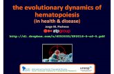 the evolutionary dynamics of hematopoiesis