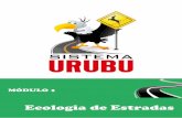 Ecologia de Estradas - estatico.cnpq.br
