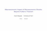 Macroeconomic Impact of Microeconomic Shocks: Beyond ...
