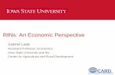 RINs: An Economic Perspective