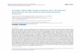 Tissue Specific Expression of a Terpene Synthase in ...