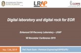 Digital laboratory and digital rock for EOR