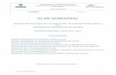 PLAN SEMESTRAL - fenix2.eui.upm.es