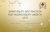 SWEAT EQUITY: BEST PRACTICES FOR VALUING EQUITY …