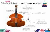 CBSO MusicBox Double Bass Factsheet (Ep2)