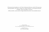 Brucella suis and Agrobacterium tumefaciens