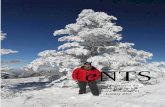 eNTS: The Magazine of the Native Tree Society