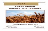 SCS-2014-04 2014 Texas Wheat Variety Trial Results