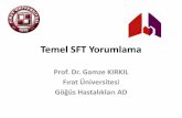 Temel SFT Yorumlama - Amazon Web Services
