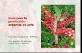 Guía para la producción orgánica de café