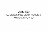 Utility Tray 20120530
