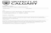 Prevalence and biology of Giardia and Cryptosporidium in ...