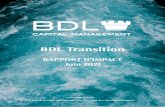 BDL Transition - bdlcm.com