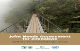 Joint Needs Assessment for Zimbabwe