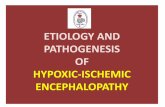 ETIOLOGY AND PATHOGENESIS OF HYPOXIC-ISCHEMIC …