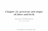 Chapter 22: processes and stages of labor and birth