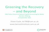 Greening the Recovery and Beyond