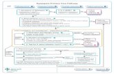 Dyspepsia Primary Care Pathway - ConnectMD