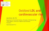 Oxidized LDL and cardiovascular risk
