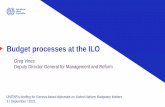 Budget processes at the ILO