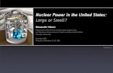 Nuclear Power in the United States: Large or Small?