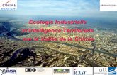 Ecologie Industrielle et Intelligence Territoriale sur la ...