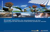 Discussion paper: Strategic directions for development of ...