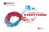 MWC16 Theatre District Operations Package