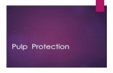 Pulp Protection - cme.mubabol.ac.ir