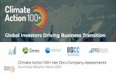 Global Investors Driving Business Transition