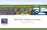 MEGTEC VAM processing