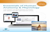 PearsonSchool.com/ Essentials of Human Anatomy & …