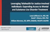 Leveraging Telehealth for Justice-Involved Individuals ...