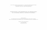 Vorkommen und Verteilung von Hyaluronan im normalen