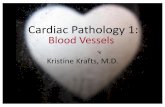 Cardiac Pathology 1