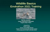 Wildlife Basics - Envirothon 2008