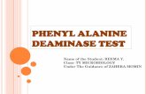 PHENYL ALANINE DEAMINASE TEST