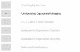 Cross-Coupling Reactions Functionnalized Organometallic ...