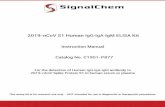2019-nCoV S1 Human IgG-IgA-IgM ELISA Kit