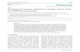 Review Managing therapeutic resistance in breast cancer ...
