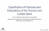 Classification of Fractures and Dislocations of the