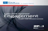 Executive Sponsor Engagement - PMI