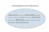 Intraabdominal infections - Semmelweis