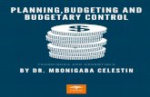pLANNING, BUDGETING AND BUDGETARY CONTROL