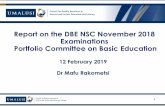 Report on the DBE NSC November 2018 Examinations Portfolio ...