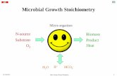 Microbial growth stoichiometry “fundamentals”